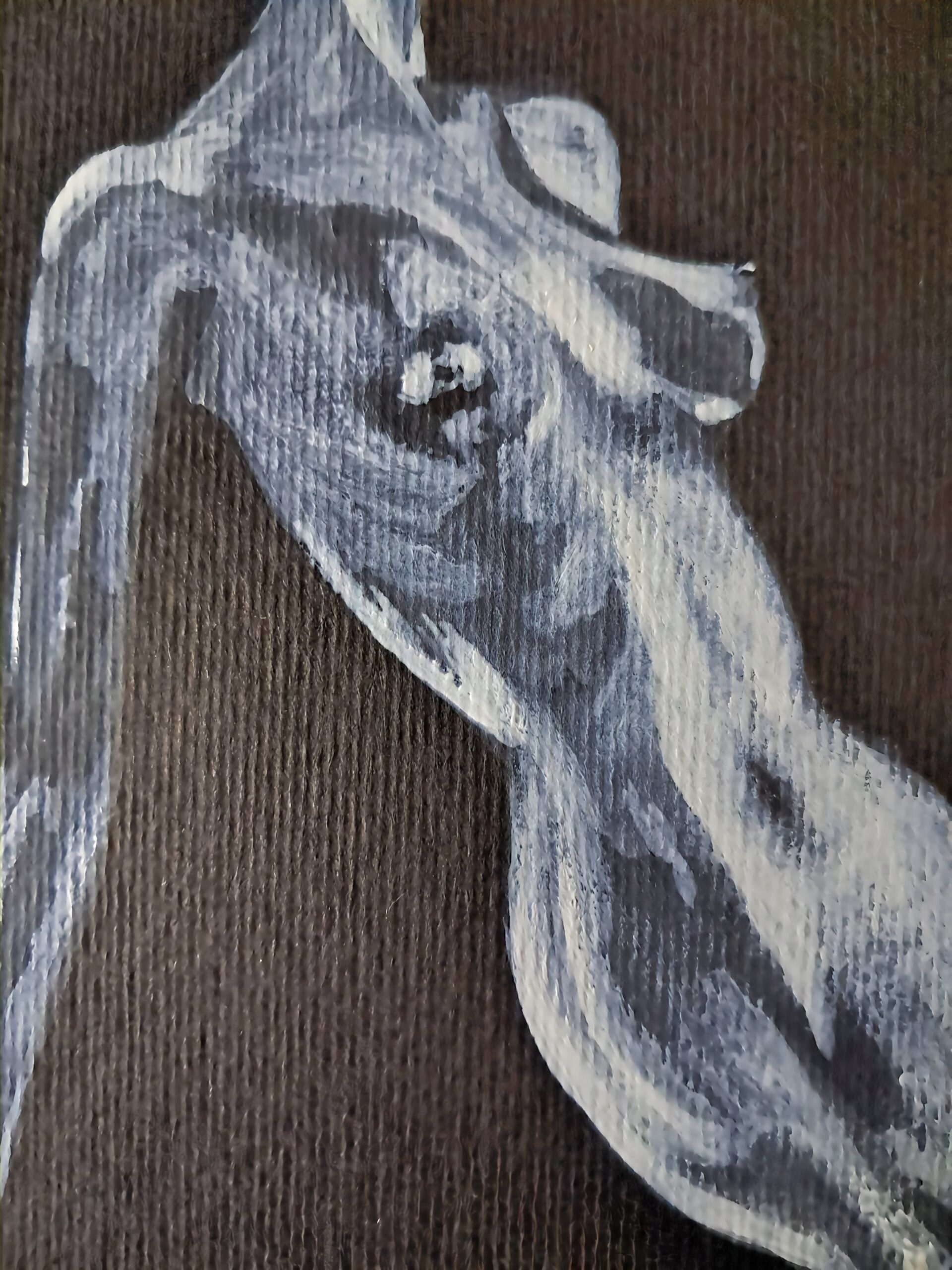 Détail de l'illustration Scissors Sisters montrant le corps féminin et sa transformation en lame